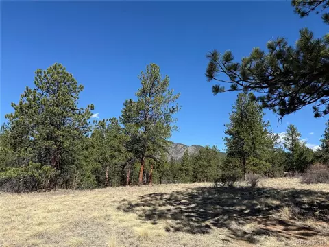 Other - 861 Happy Top Trl, Bailey, CO 80421 photo 12 of 12