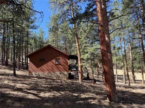 Other - 861 Happy Top Trl, Bailey, CO 80421 photo 11 of 12