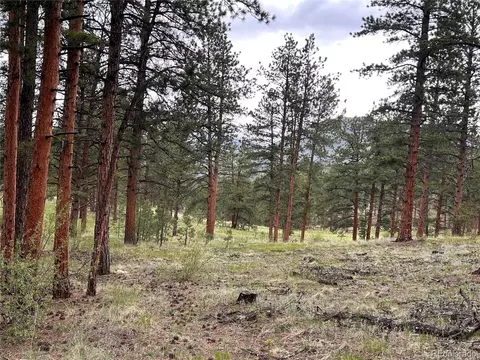 Other - 861 Happy Top Trl, Bailey, CO 80421 photo 7 of 12