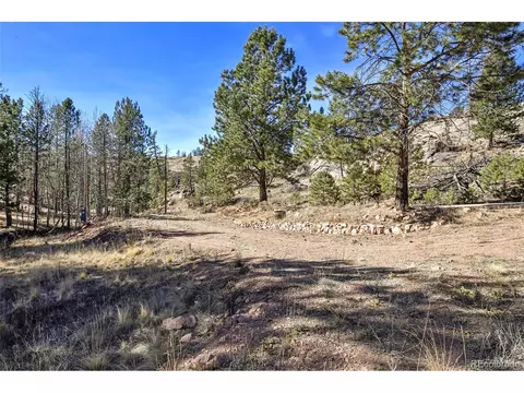 238 Chateau West Dr, Florissant, CO 80816