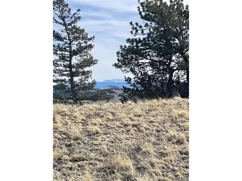 Antelope Rd, Hartsel, CO 80449 photo 3
