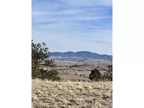 Antelope Rd, Hartsel, CO 80449 photo 4