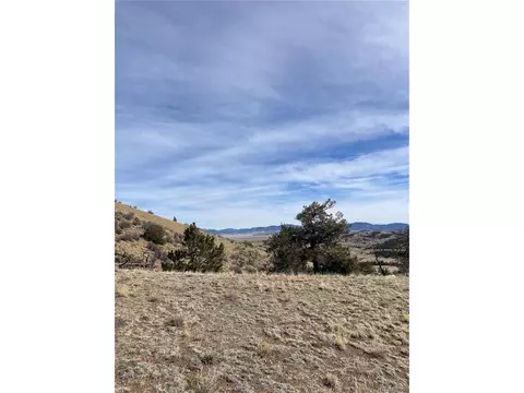 Antelope Rd, Hartsel, CO 80449 photo 10