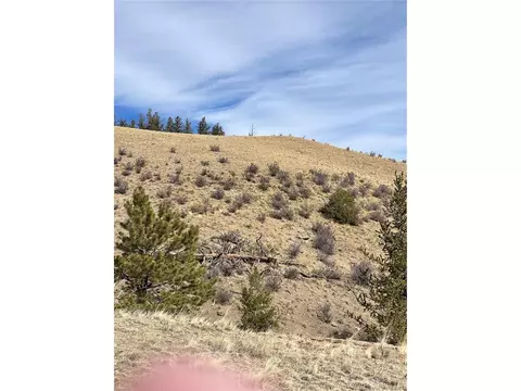 Antelope Rd, Hartsel, CO 80449 photo 7