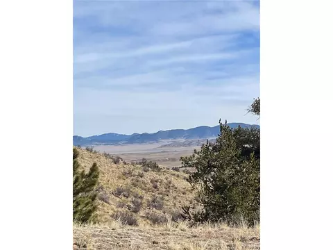 Antelope Rd, Hartsel, CO 80449 photo 9