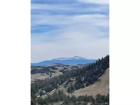Antelope Rd, Hartsel, CO 80449 photo 13