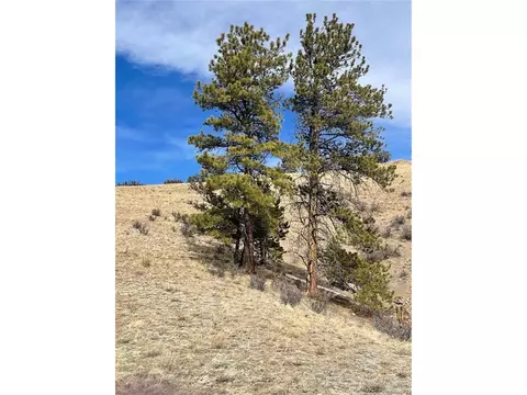 Antelope Rd, Hartsel, CO 80449 photo 5