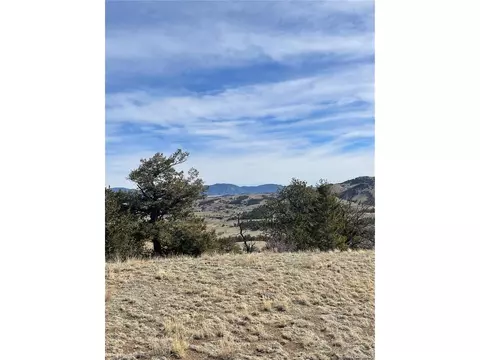 Antelope Rd, Hartsel, CO 80449 photo 8