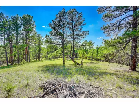24400 High Timber Ln, Agate, CO 80101 photo 1