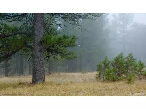 24400 High Timber Ln, Agate, CO 80101 photo 23