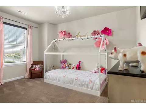 348 Beldock St, Brighton, CO 80601 photo 17