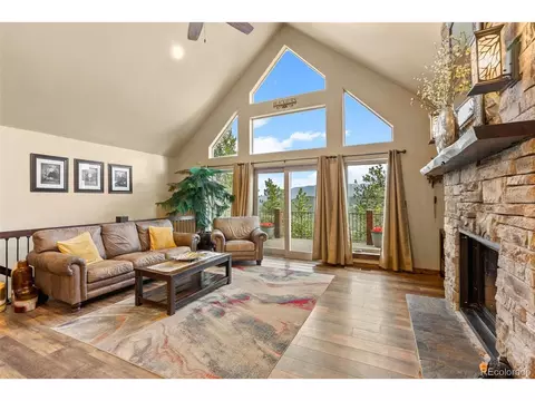854 Dick Mountain Dr, Bailey, CO 80421 photo 18