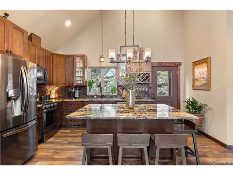 854 Dick Mountain Dr, Bailey, CO 80421 photo 20