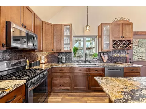 854 Dick Mountain Dr, Bailey, CO 80421 photo 26