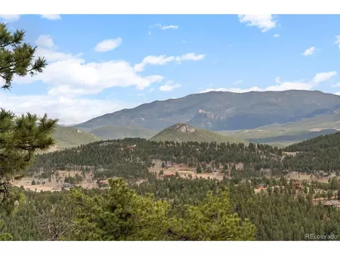 854 Dick Mountain Dr, Bailey, CO 80421 photo 46