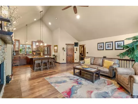 854 Dick Mountain Dr, Bailey, CO 80421 photo 19
