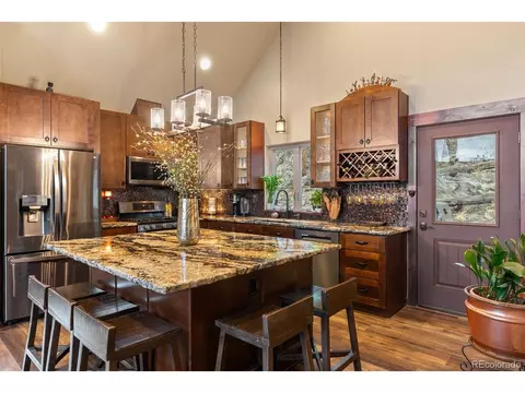 854 Dick Mountain Dr, Bailey, CO 80421 photo 22