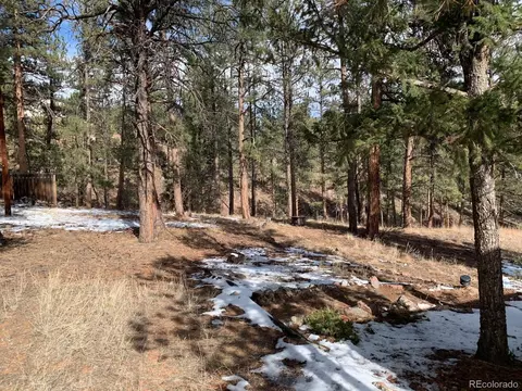 28457 Park Ave, Pine, CO 80470 photo 6