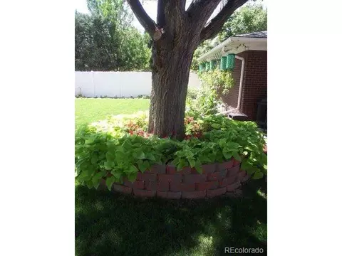 11642 E 2nd Ave, Aurora, CO 80010 photo 35
