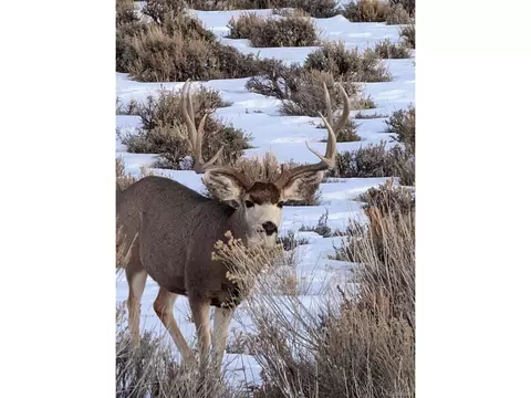 4 Tbd, Mesa, CO 81643 photo 13