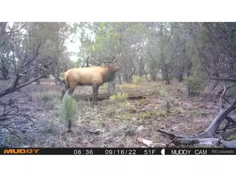 4 Tbd, Mesa, CO 81643 photo 17