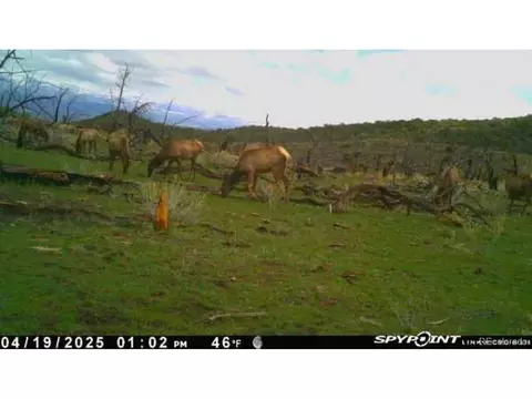 4 Tbd, Mesa, CO 81643 photo 16