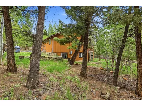 Exterior - 175 Mount Bailey Dr, Bailey, CO 80421 photo 11 of 12