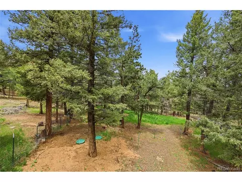 Exterior - 175 Mount Bailey Dr, Bailey, CO 80421 photo 10 of 12