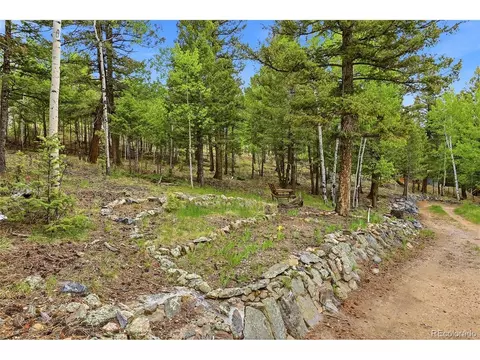 Exterior - 175 Mount Bailey Dr, Bailey, CO 80421 photo 12 of 12