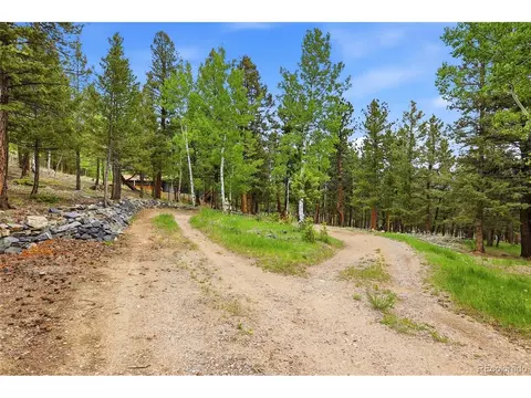 Exterior - 175 Mount Bailey Dr, Bailey, CO 80421 photo 7 of 12