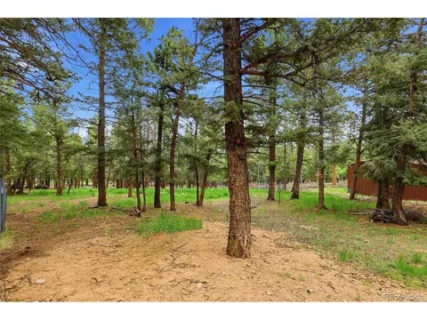 Exterior - 175 Mount Bailey Dr, Bailey, CO 80421 photo 6 of 12