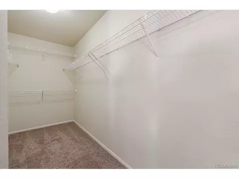 13038 Devils Thumb Pl, Peyton, CO 80831 photo 19