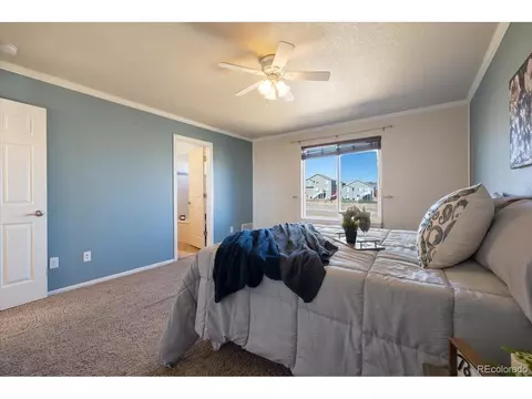 13038 Devils Thumb Pl, Peyton, CO 80831 photo 16