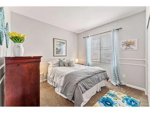 349 Apache Plume St, Brighton, CO 80601 photo 23