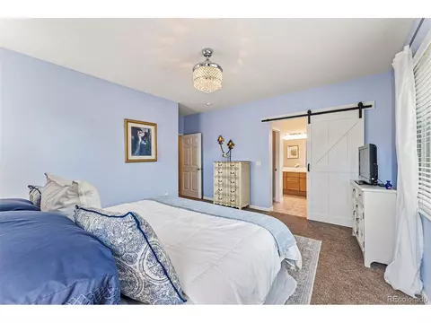 349 Apache Plume St, Brighton, CO 80601 photo 17