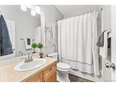 349 Apache Plume St, Brighton, CO 80601 photo 24