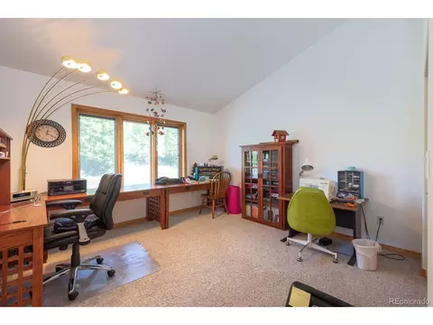 Undisclosed, Fraser, CO 80442 photo 10