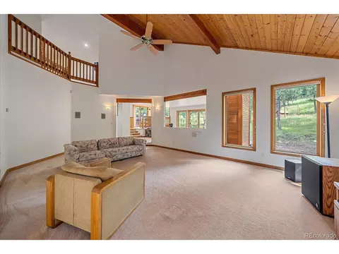 454 Bluebird Ln, Bailey, CO 80421 photo 22