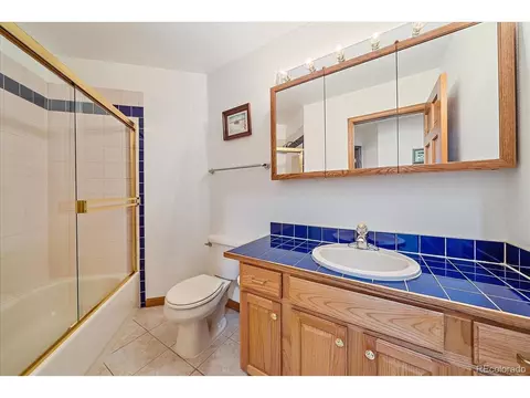 454 Bluebird Ln, Bailey, CO 80421 photo 34