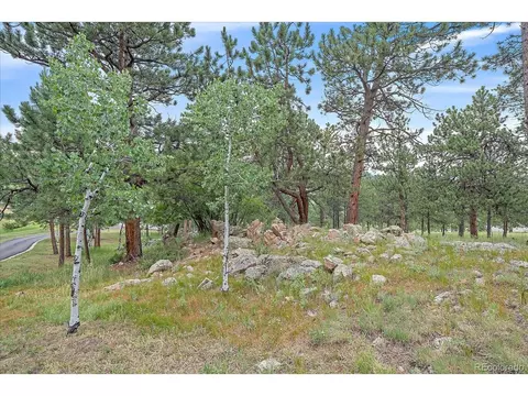 454 Bluebird Ln, Bailey, CO 80421 photo 45