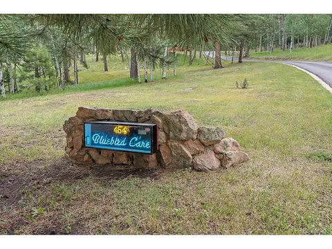 454 Bluebird Ln, Bailey, CO 80421 photo 3