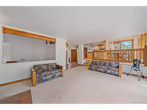 454 Bluebird Ln, Bailey, CO 80421 photo 19