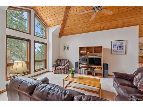454 Bluebird Ln, Bailey, CO 80421 photo 8