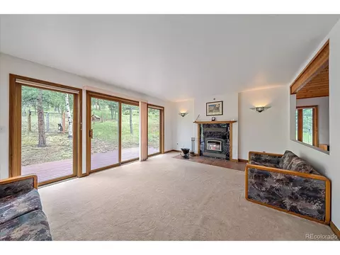 454 Bluebird Ln, Bailey, CO 80421 photo 18