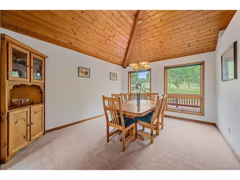 454 Bluebird Ln, Bailey, CO 80421 photo 12