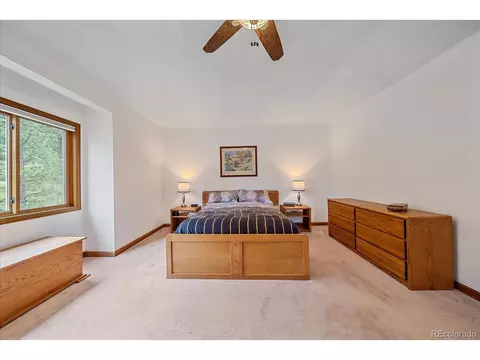 454 Bluebird Ln, Bailey, CO 80421 photo 29