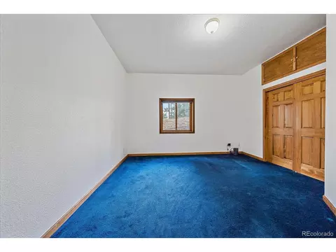 454 Bluebird Ln, Bailey, CO 80421 photo 35