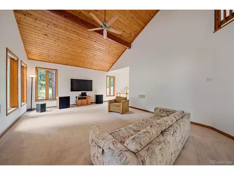 454 Bluebird Ln, Bailey, CO 80421 photo 20
