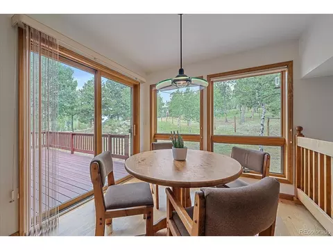 454 Bluebird Ln, Bailey, CO 80421 photo 17