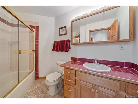 454 Bluebird Ln, Bailey, CO 80421 photo 24